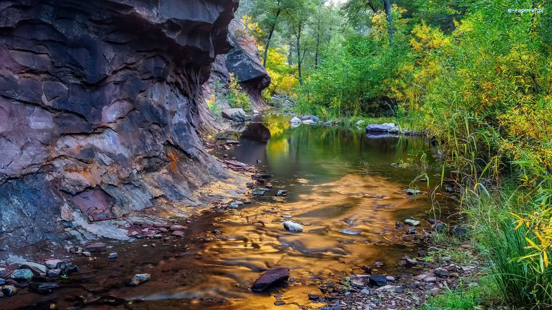 Stany Zjednoczone, Sedona, Skały, Rzeka, Arizona, Las, Drzewa, West Fork Oak Creek
