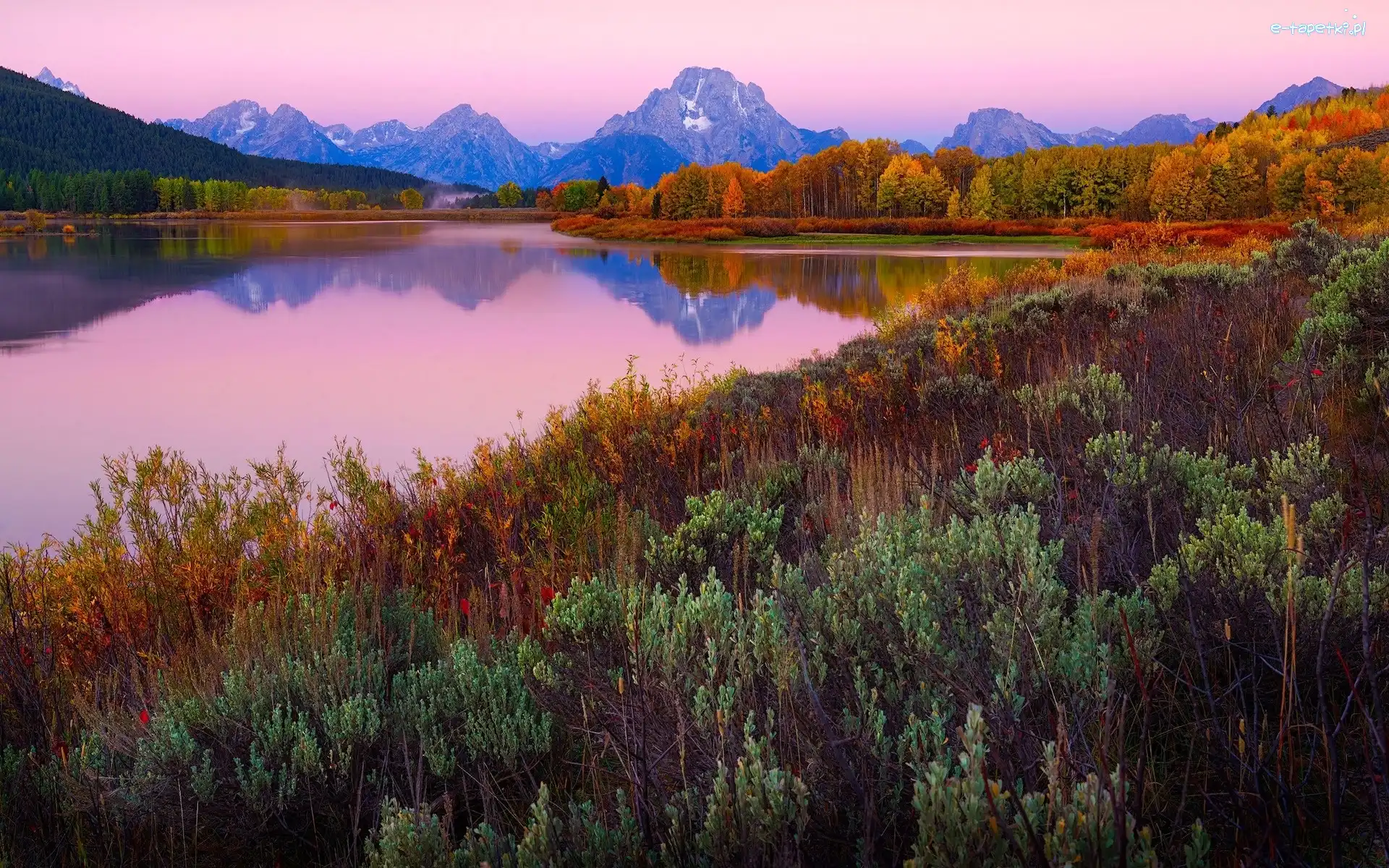 Jesień, Park Narodowy Grand Teton, Góry, Wyoming, Stany Zjednoczone, Drzewa, Jezioro