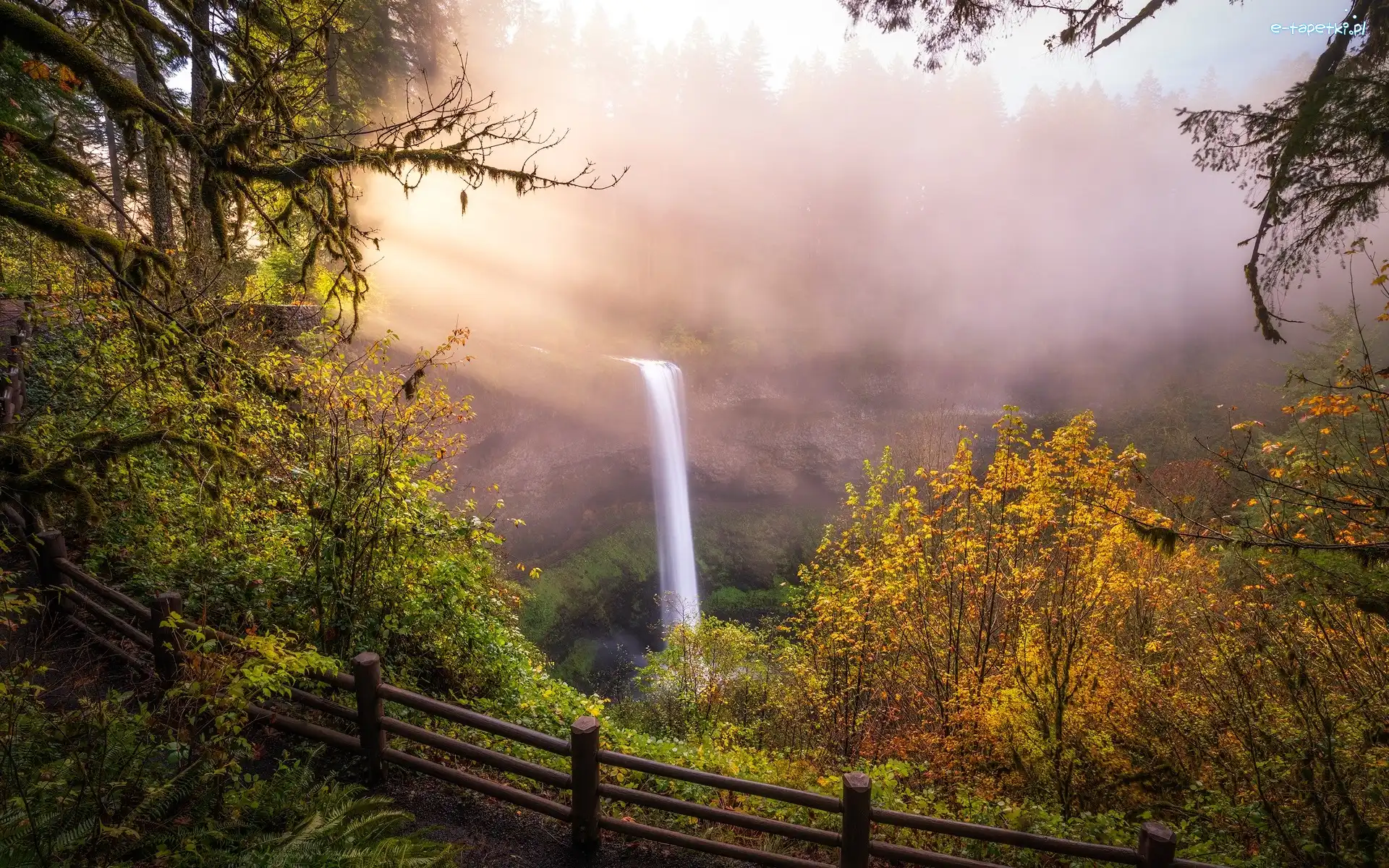 Trawa, Drzewa, Jesień, South Falls, Wodospad, Stany Zjednoczone, Stan Oregon, Skały, Park stanowy Silver Falls