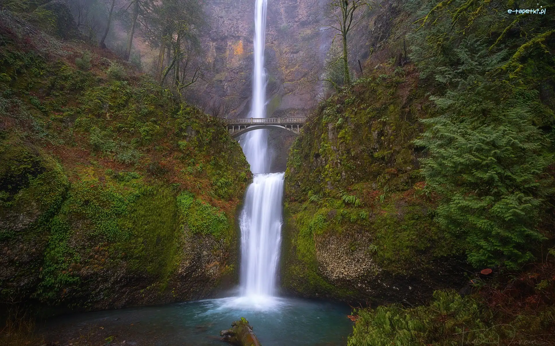 Skały, Multnomah Falls, Stany Zjednoczone, Oregon, Most, Drzewa, Multnomah, Wodospad