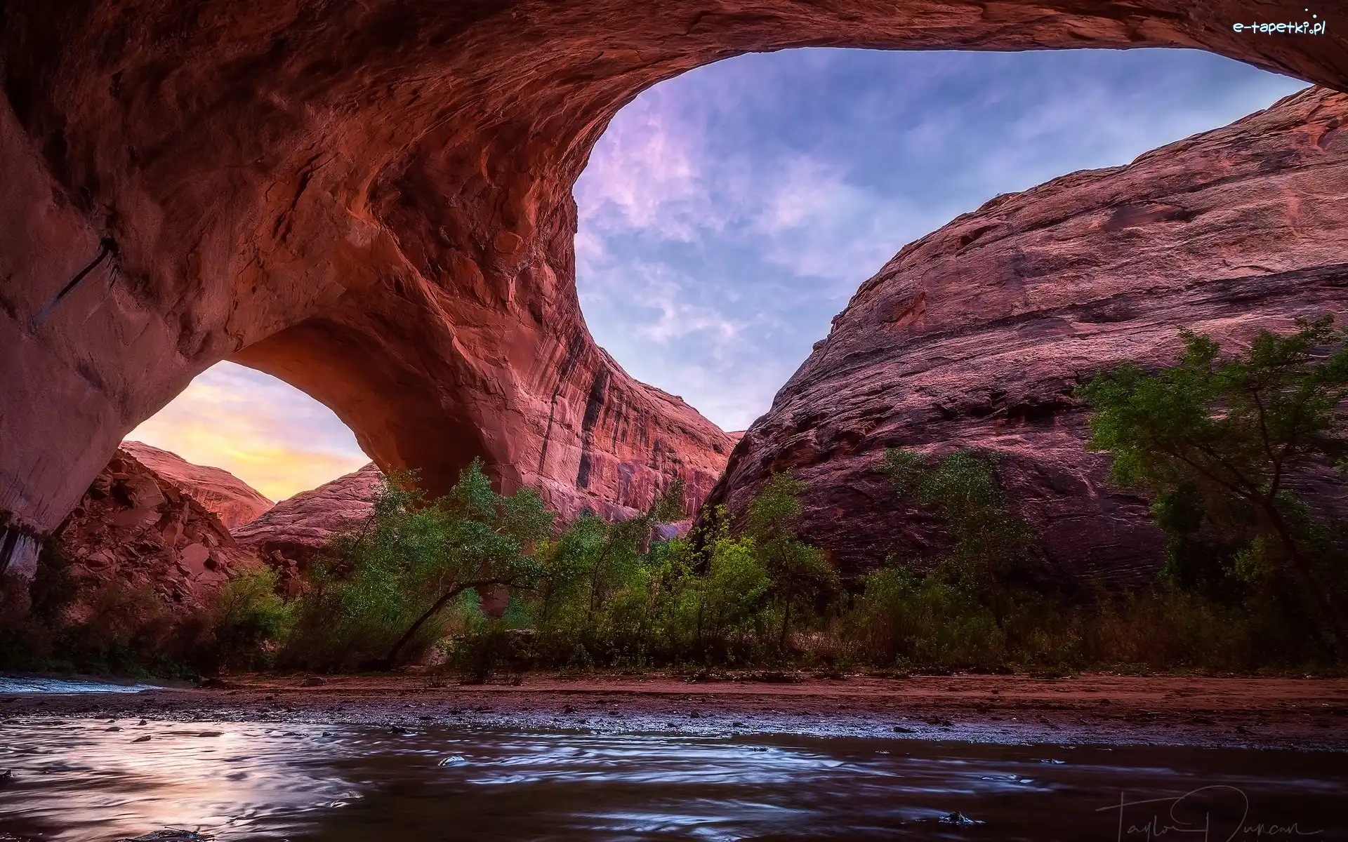 Utah, Drzewa, Rzeka Coyote Gulch, Stany Zjednoczone, Łuk Jacoba Hamblina, Skały
