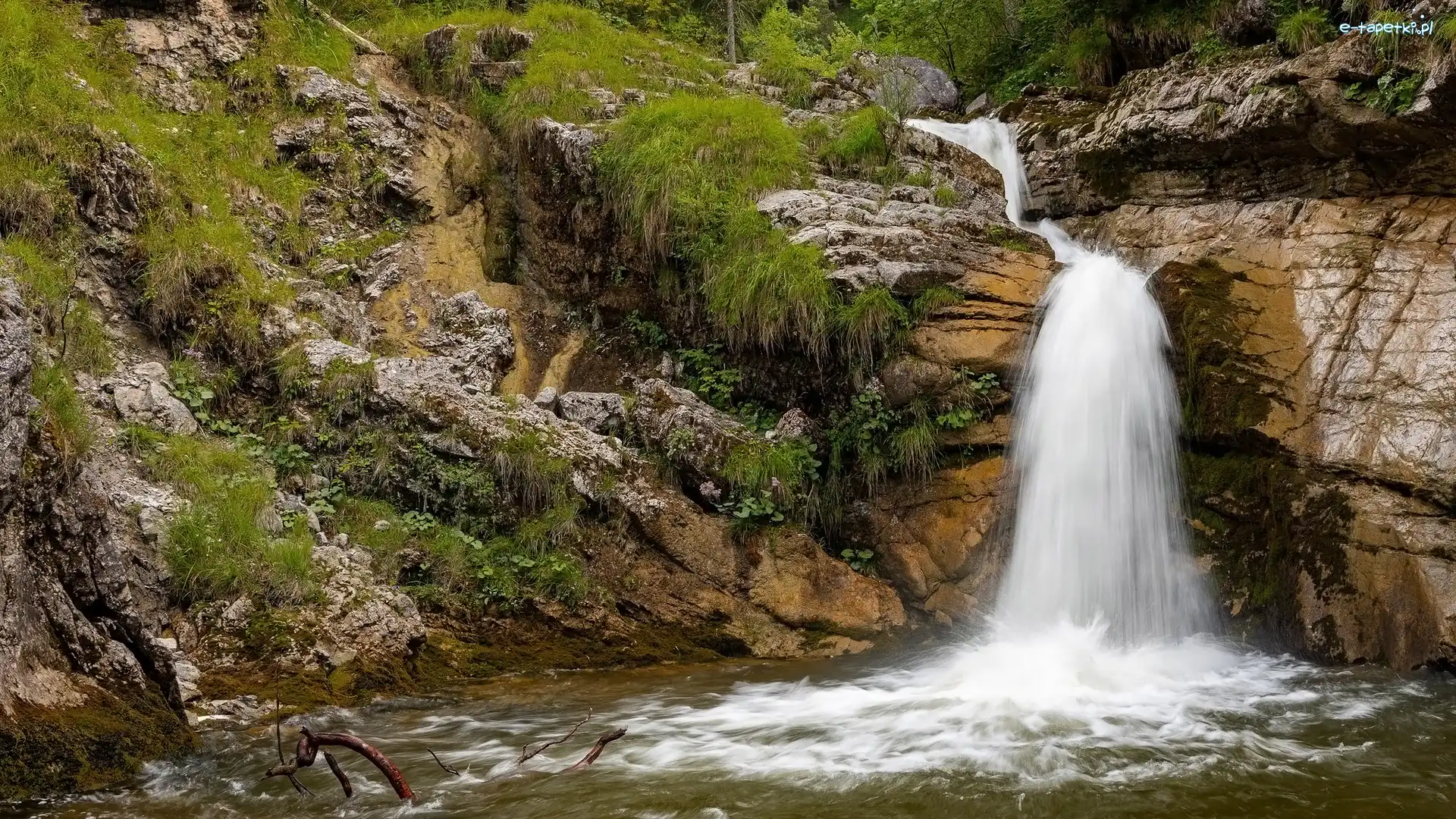 Skały, Bawaria, Niemcy, Rośliny, Kuhaway Waterfall, Wodospad