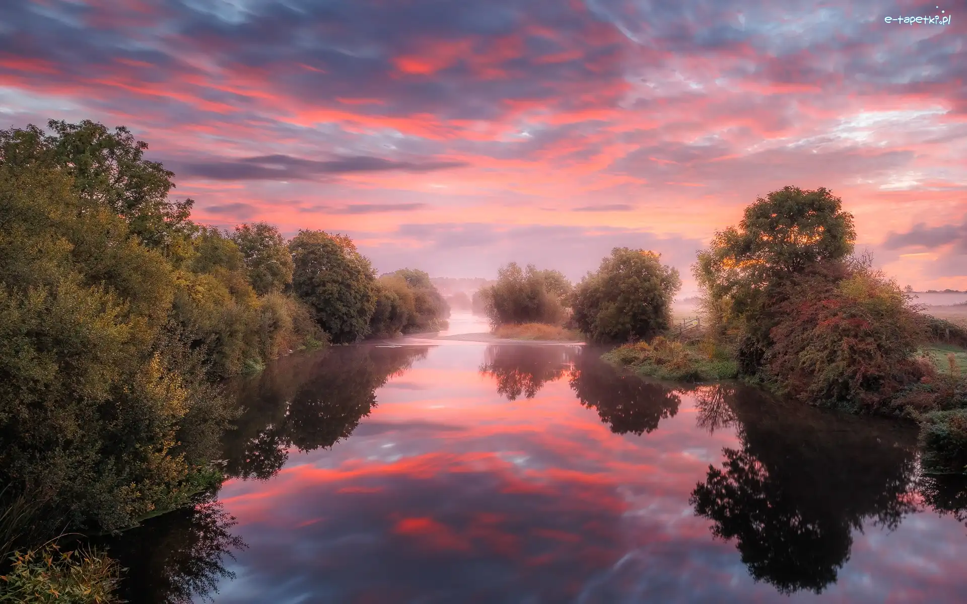 Anglia, Drzewa, Mgła, River Stour, Rzeka, Odbicie, Chmury
