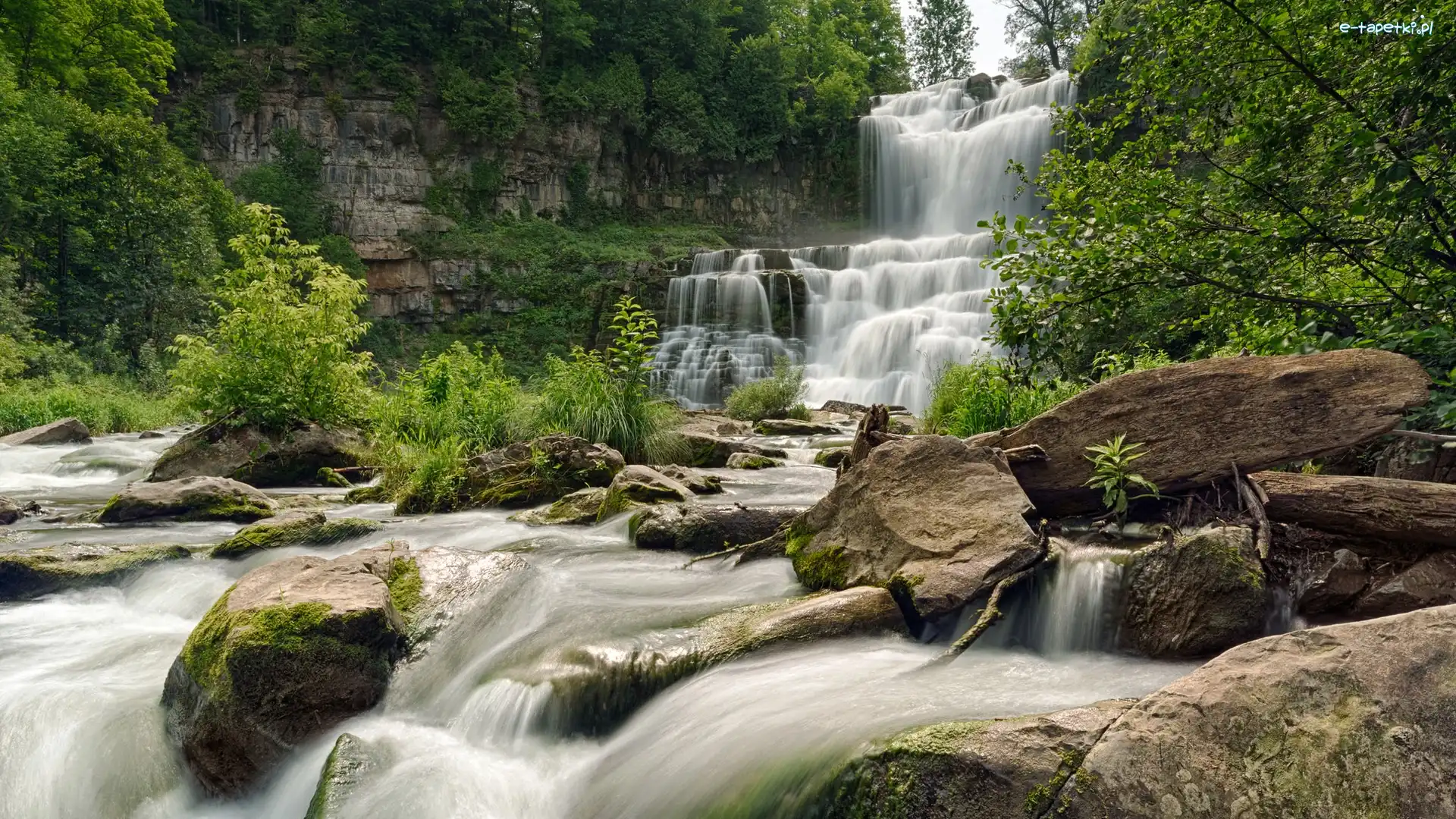 Stany Zjednoczone, Chittenango Falls, Rzeka, Wodospad, Skały, Nowy Jork, Drzewa