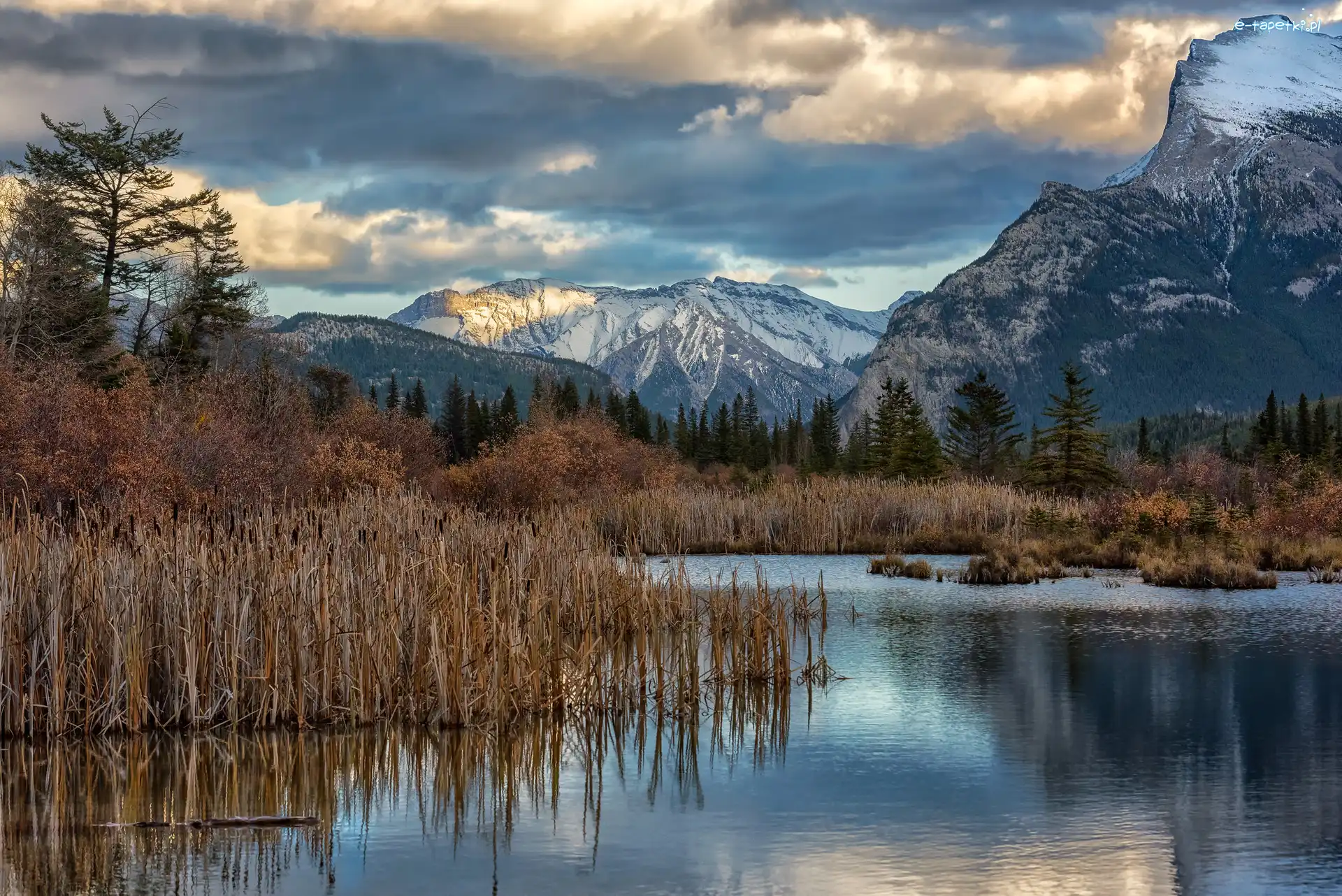 Szuwary, Jezioro, Kanada, Park Narodowy Banff, Vermilion Lake, Drzewa, Góry, Jesień