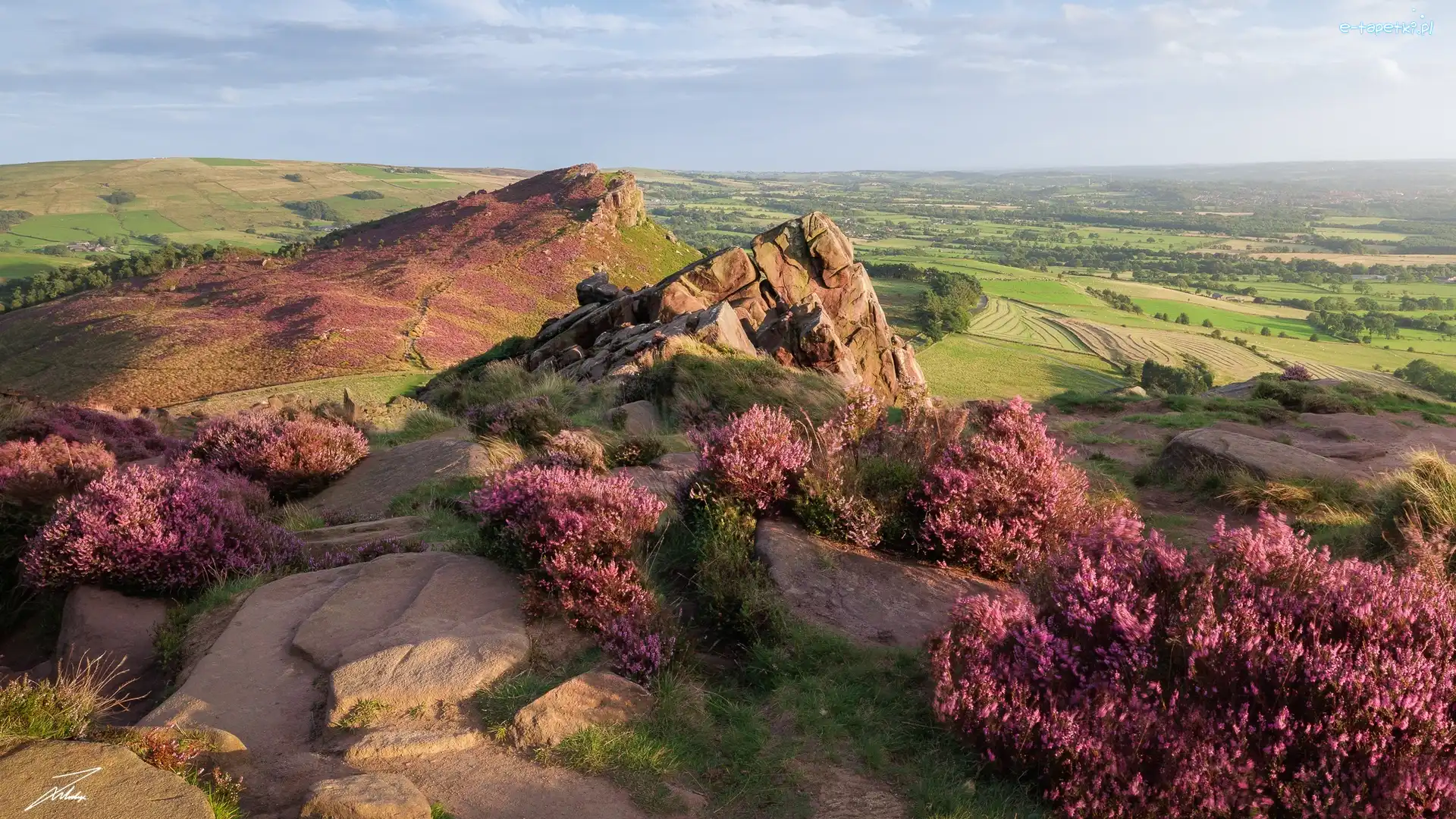 Pola, Skały, Anglia, Park Narodowy Peak District, Wrzosy, Łąki, Drzewa, Wysokie