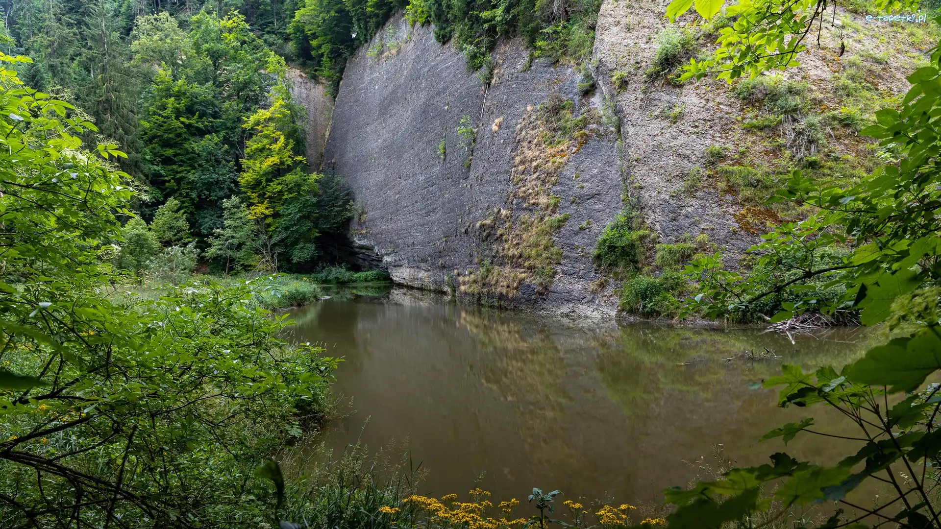 Rośliny, Jezioro, Skały