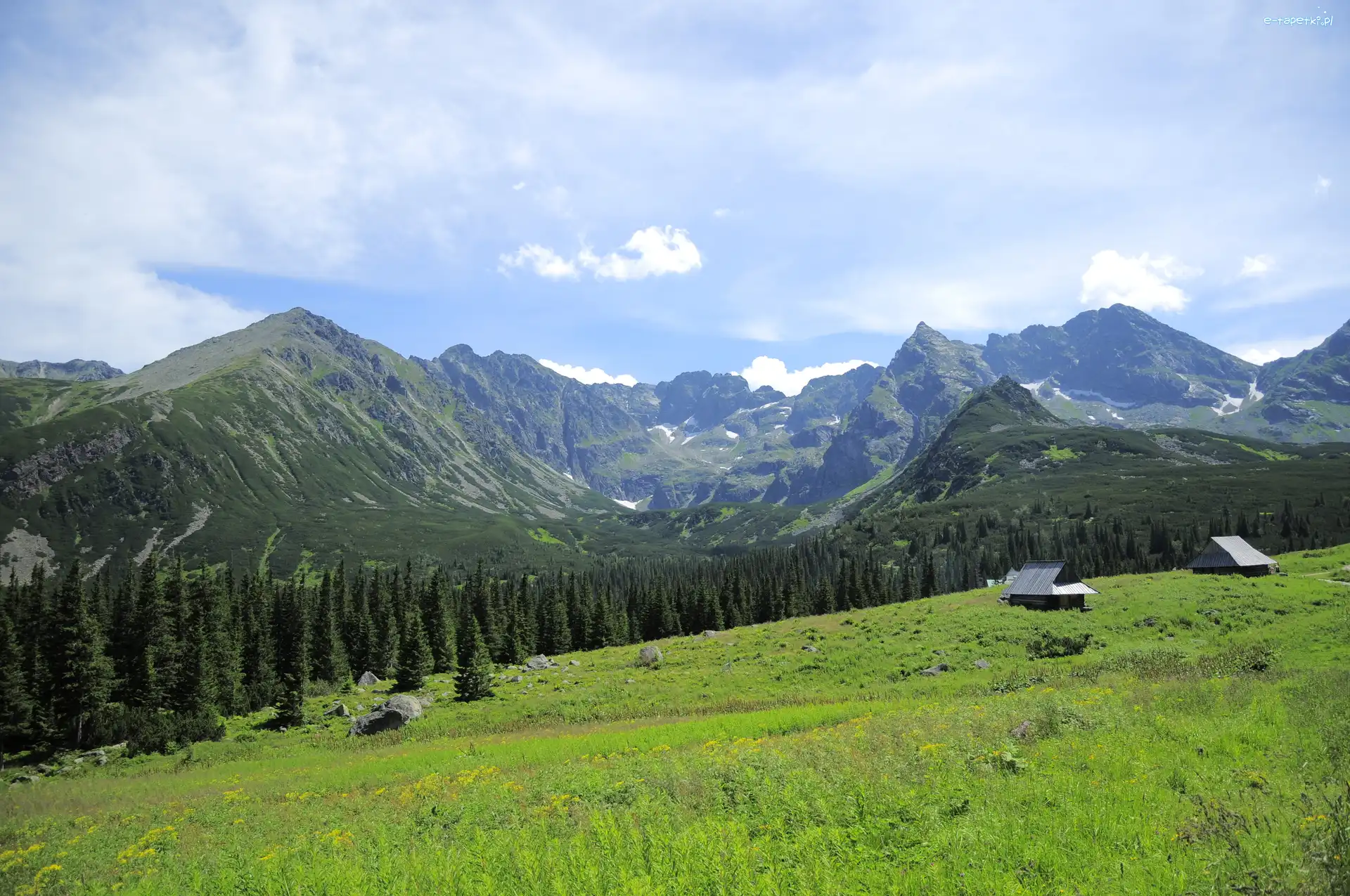 Roślinność, Tatry, Lasy, Domki, Góry, Polska