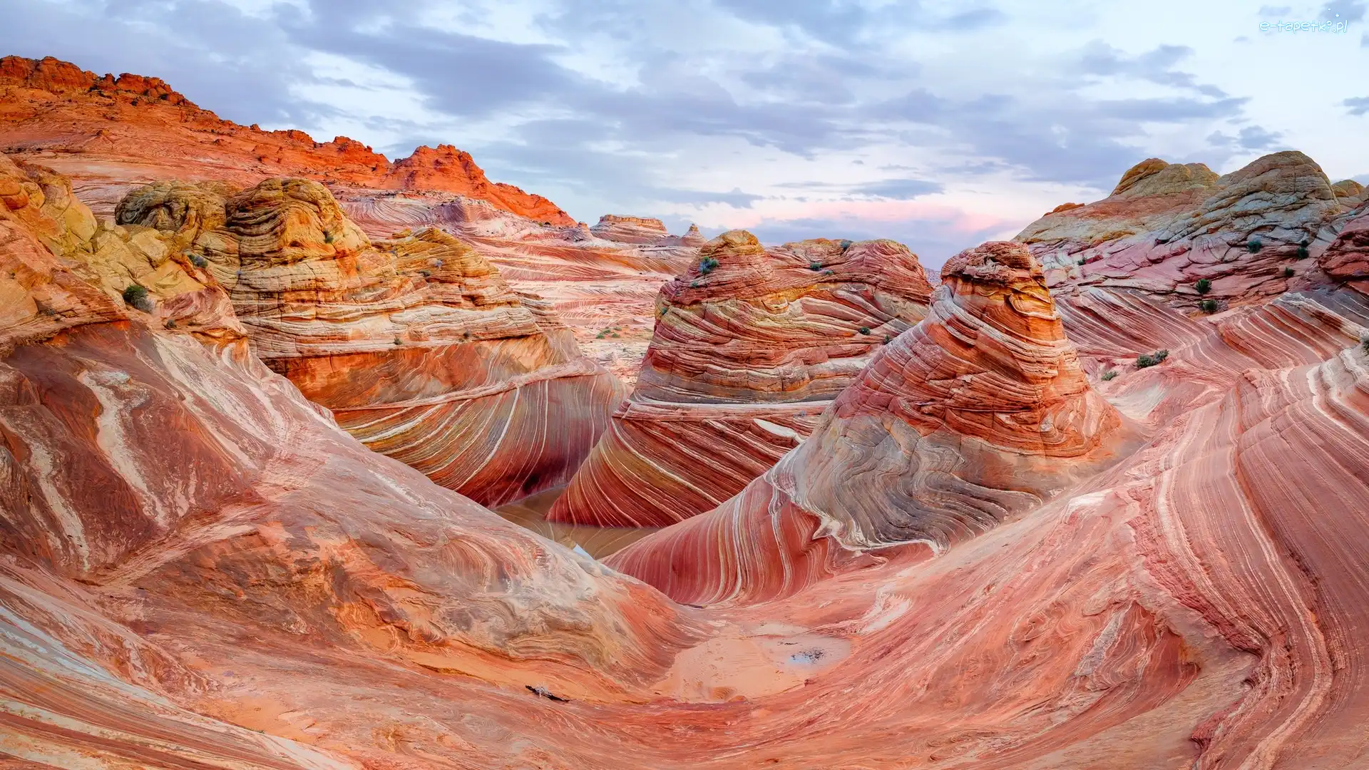 Kolorowe, Marble Kanion, Skały, Stany Zjednoczone, Arizona