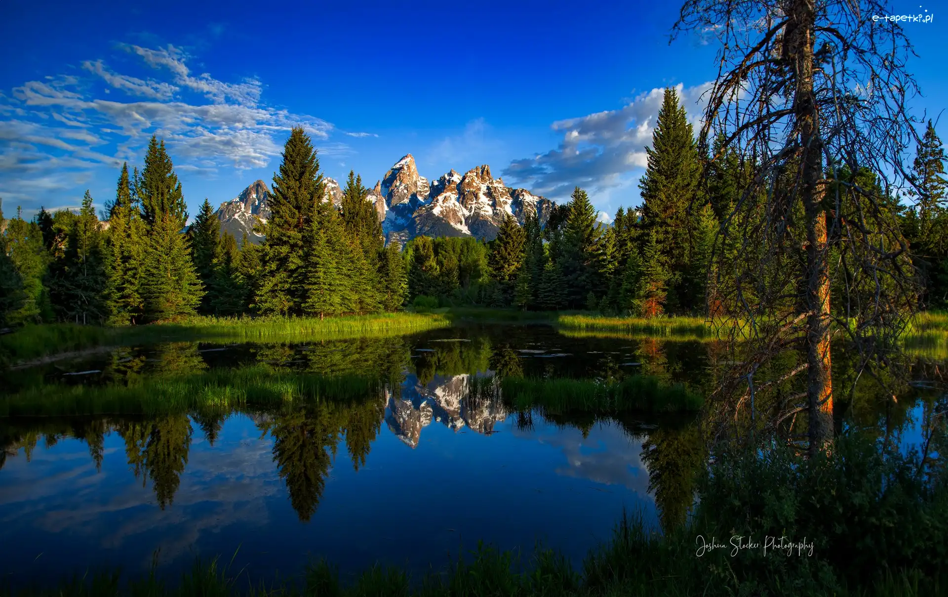 Rzeka, Grand Teton, Park Narodowy Grand Teton, Wyoming, Stany Zjednoczone, Wschód słońca, Drzewa, Góry, Snake River