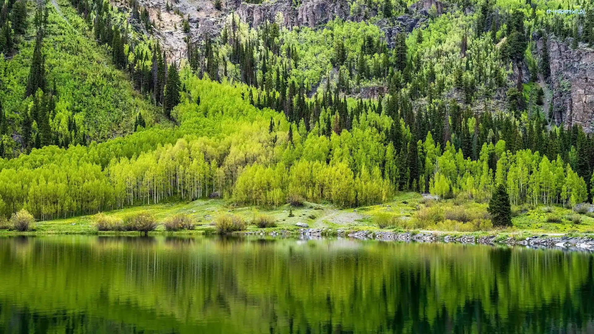 Drzewa, Kolorado, Stany Zjednoczone, Góry, Crystal Lake, Jezioro