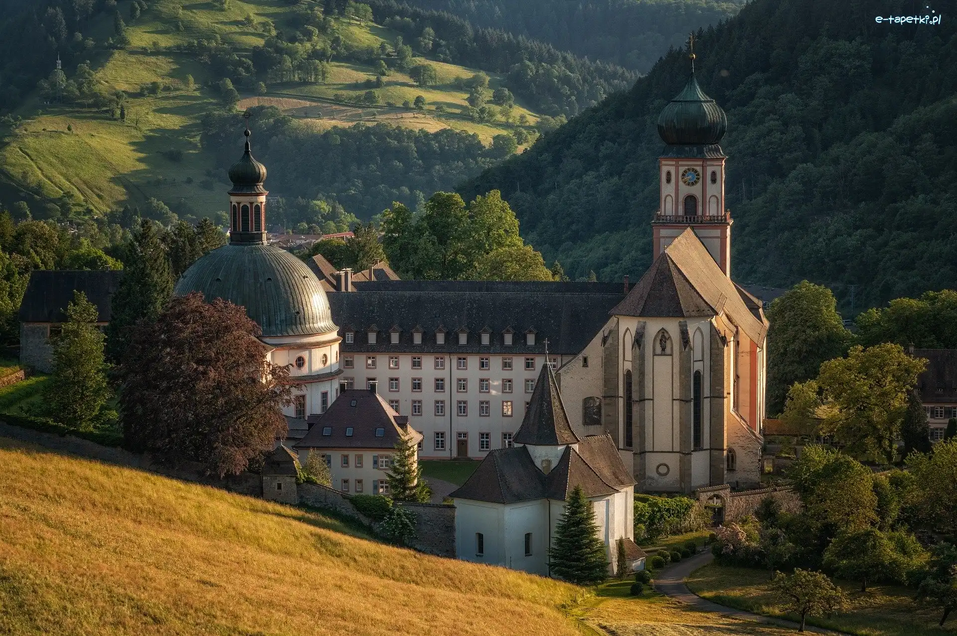 Munstertal, Drzewa, Góry, Niemcy, Opactwo św Trudperta, Klasztor