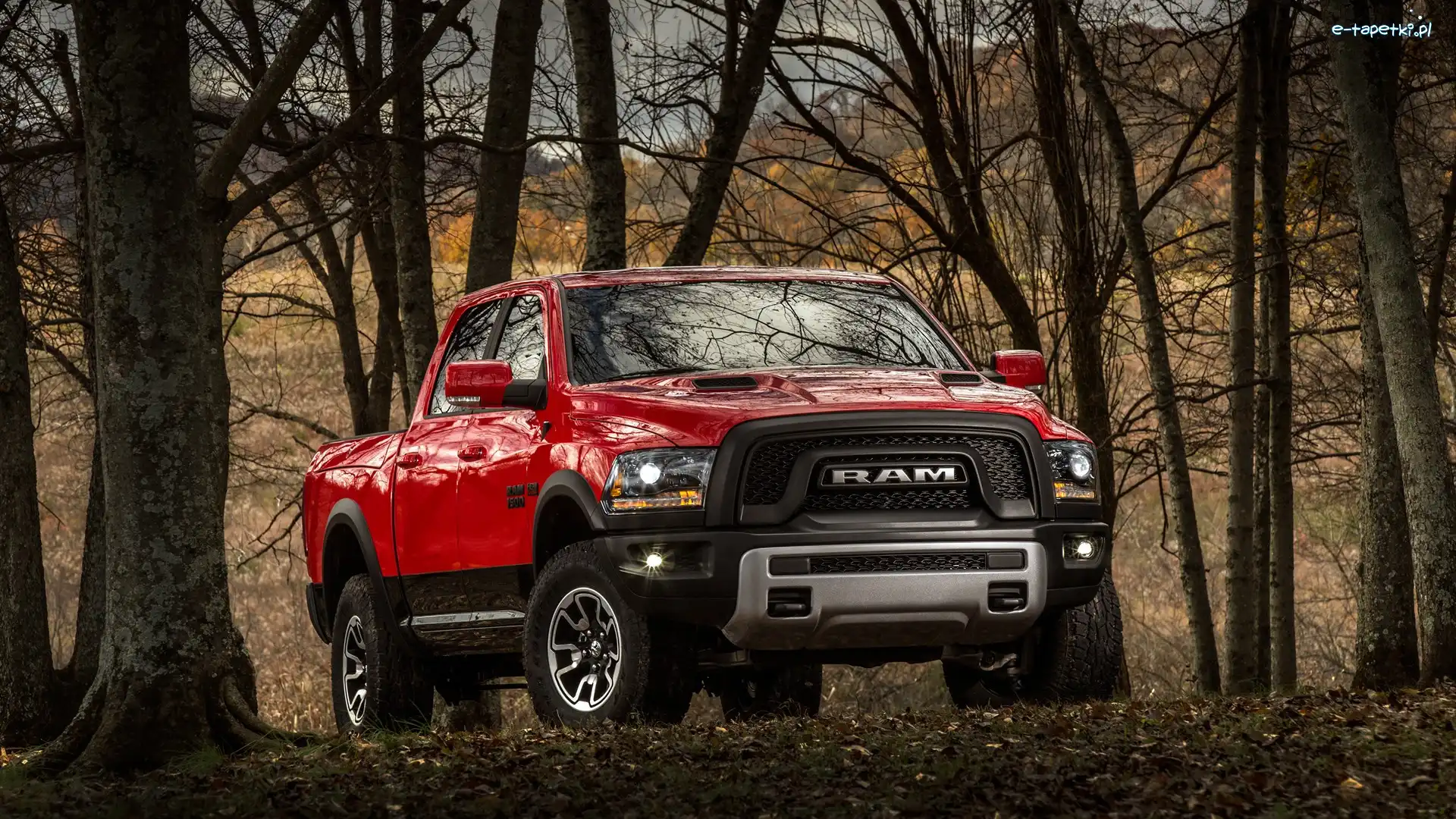Dodge Dodge RAM, Drzewa, Bezlistne, Czerwony