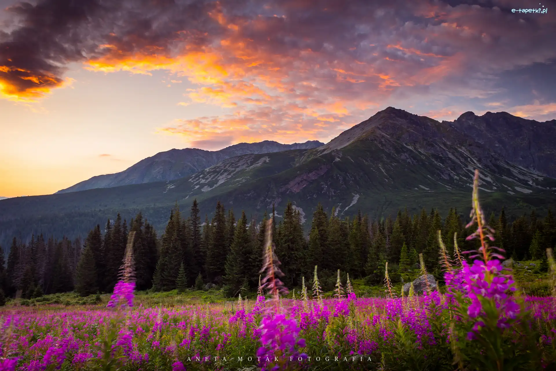 Góry, Polska, Tatry, Zachód słońca