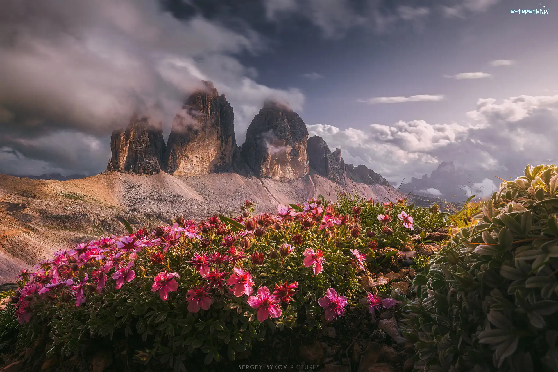 Dolomity, Skały, Włochy, Chmury, Tre Cime di Lavaredo, Polana, Kwiaty, Góry