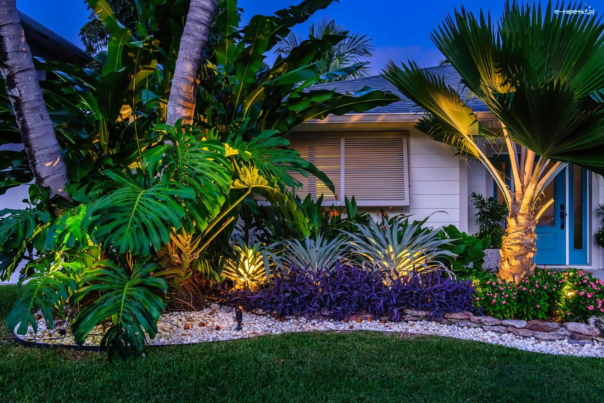 Palmy, Palm Beach Garden, Dom, Kwiaty, Floryda, Stany Zjednoczone