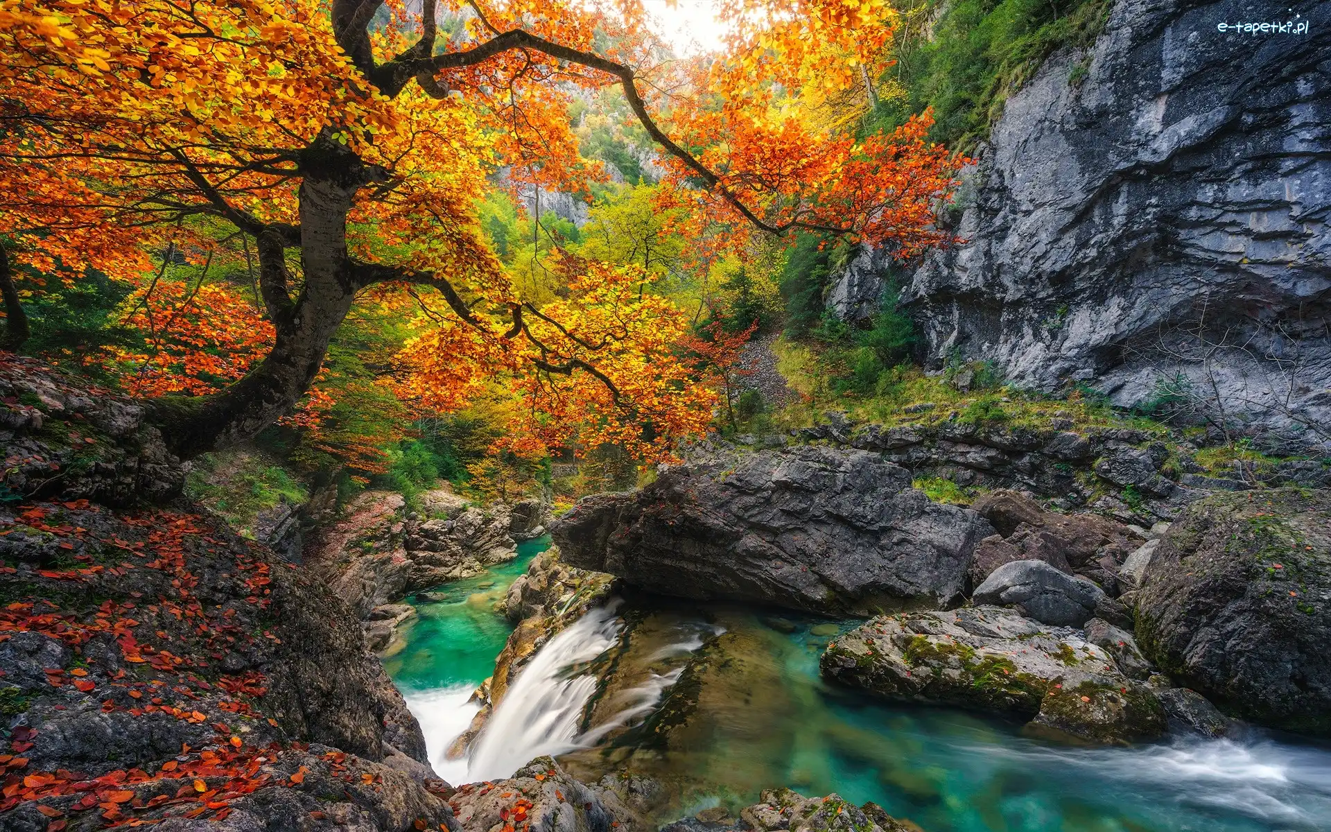 Skały, Huesca, Liście, Jesień, Drzewa, Las, Rzeka, Hiszpania, Park Narodowy de Ordesa y Monte Perdido, Kaskada