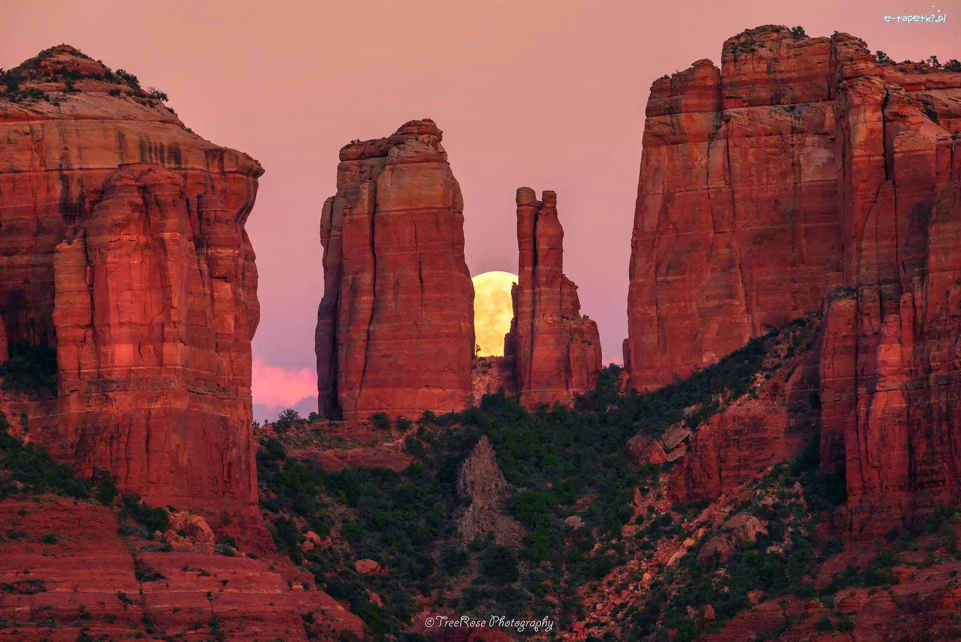 Arizona, Sedona, Krzewy, Skały, Czerwone, Wschód słońca, Księżyc, Cathedral Rocks, Stany Zjednoczone
