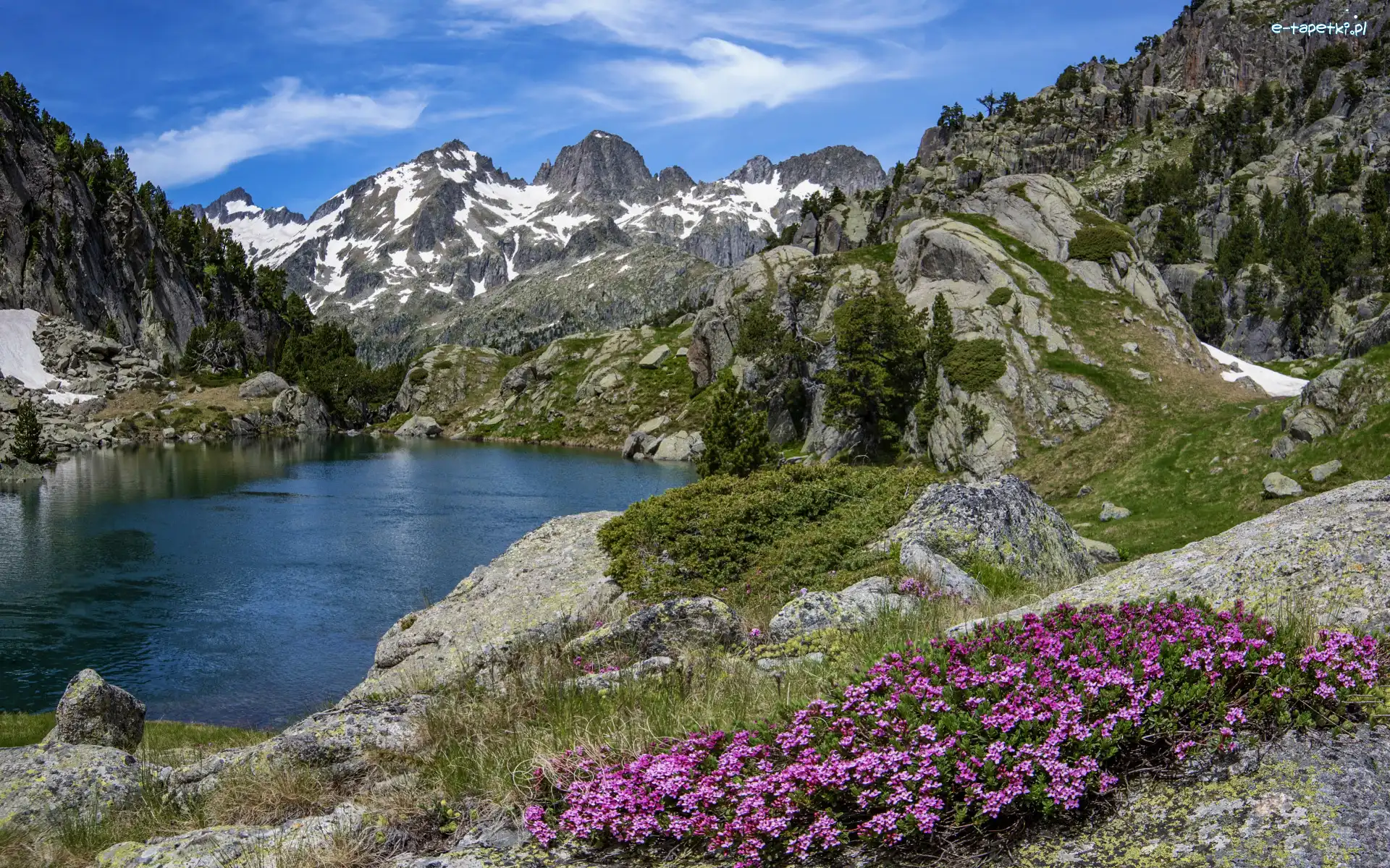 Jezioro, Hiszpania, Kwiaty, Pireneje, Niebo, Park Narodowy de Aiguestortes i Estany de Sant Maurici, Skały, Drzewa, Góry, Katalonia, Trawa