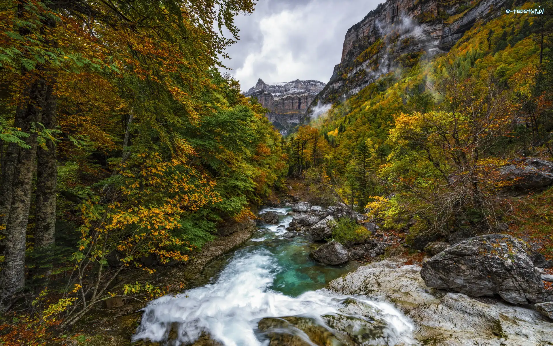 Las, Park Narodowy de Ordesa y Monte Perdido, Valle de Ordesa, Liście, Kamienie, Niebo, Jesień, Strumień, Skały, Góry, Drzewa, Hiszpania