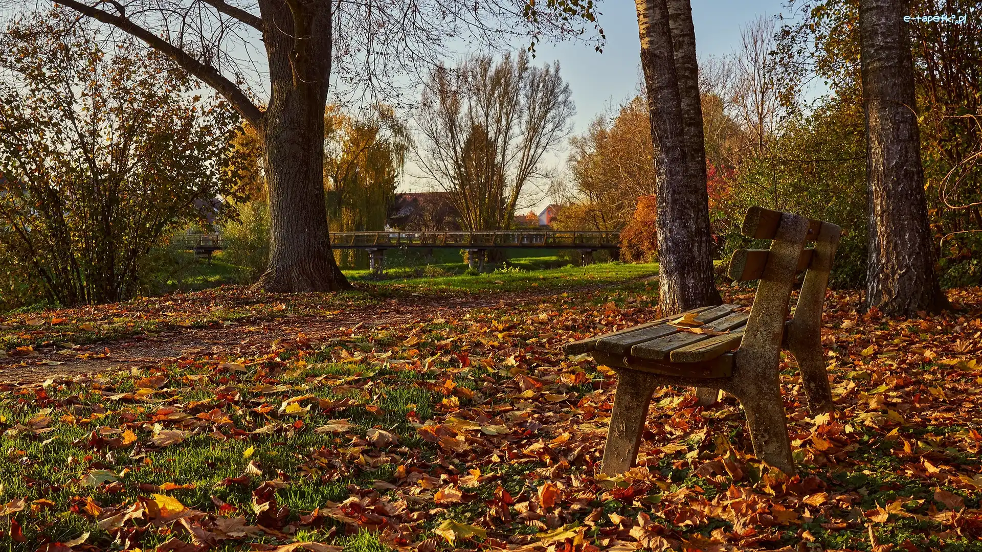 Opadłe, Park, Most, Drzewa, Ławka, Żółte, Liście, Jesień