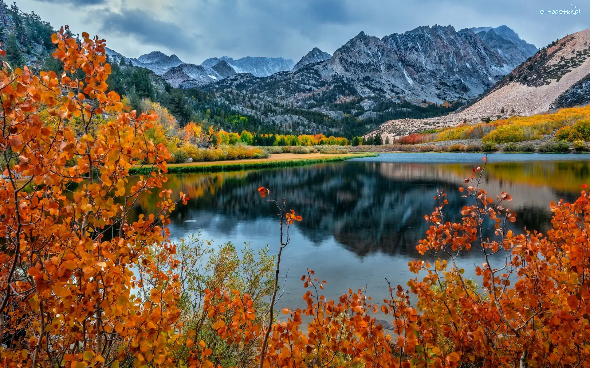 Gałęzie, Kalifornia, Jesień, Liście, Góry, Jezioro, Drzewa, Stany Zjednoczone, Sierra Nevada Mountains, Chmury