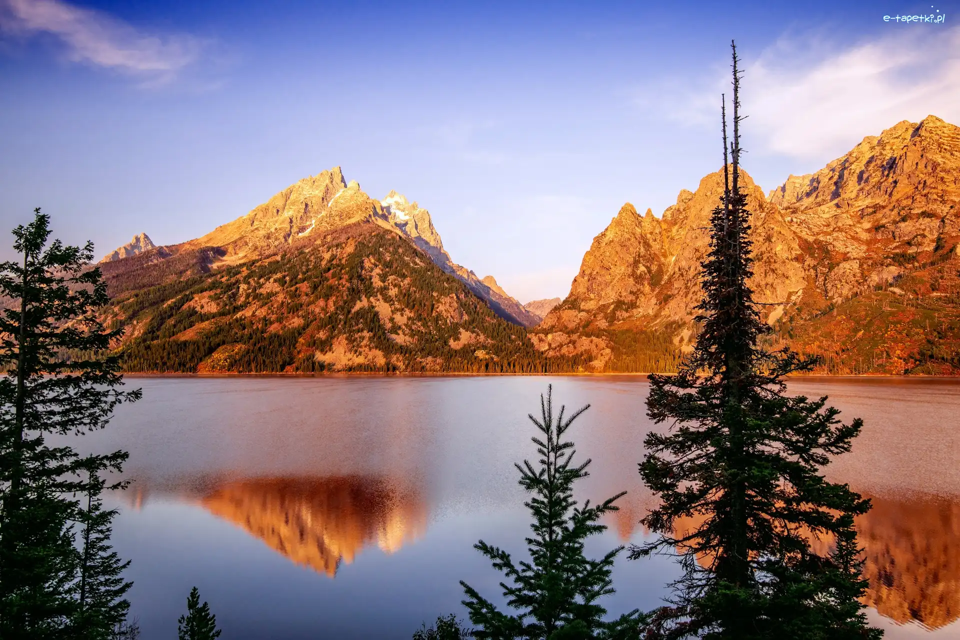 Drzewa, Park Narodowy Grand Teton, Góry, Wyoming, Stany Zjednoczone, Jenny Lake, Jezioro