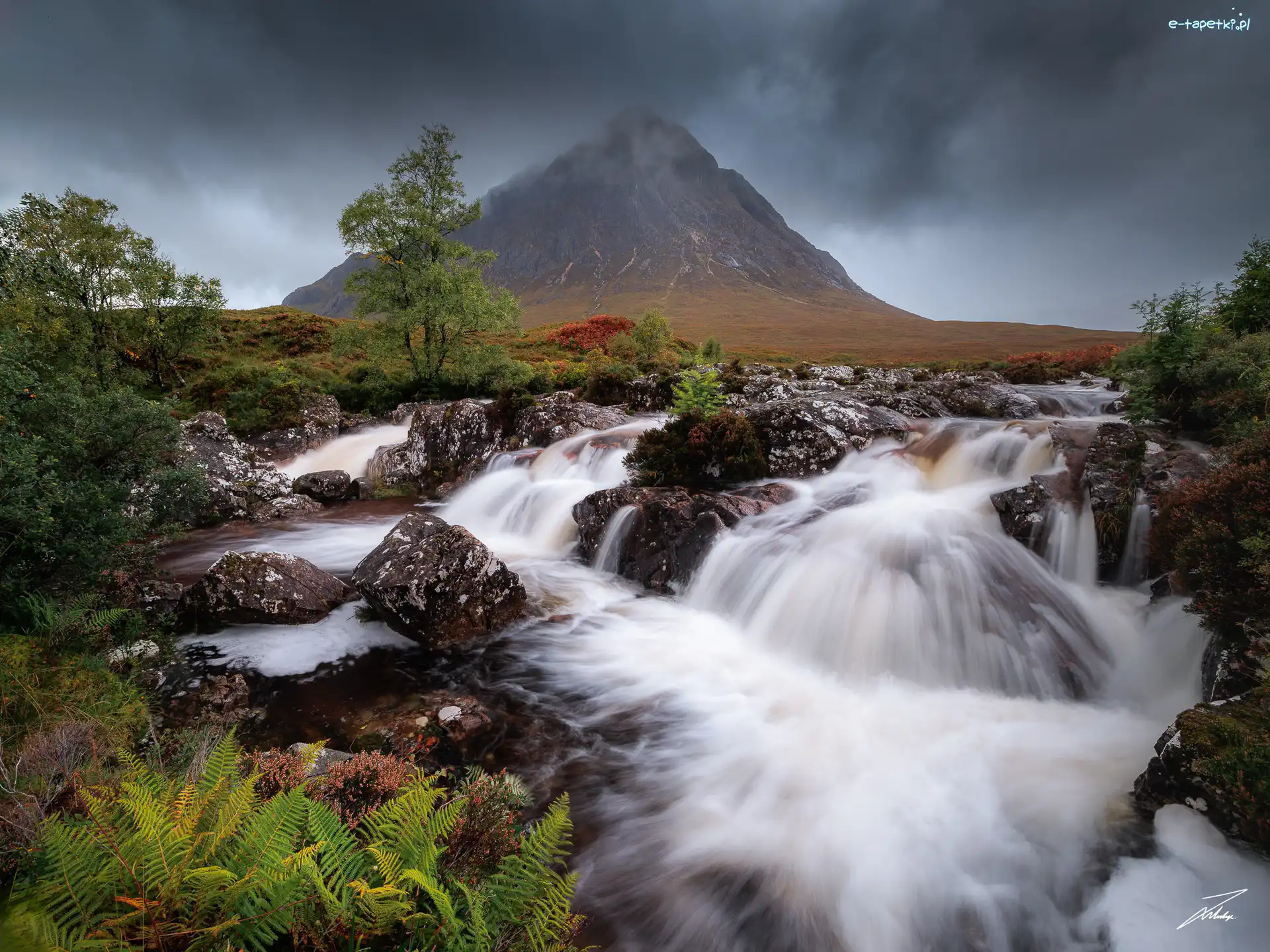 Rzeka, Chmury, Góra, Region Highlands, Szkocja, Paprocie, Drzewa, Buachaille Etive Mór, Kamienie