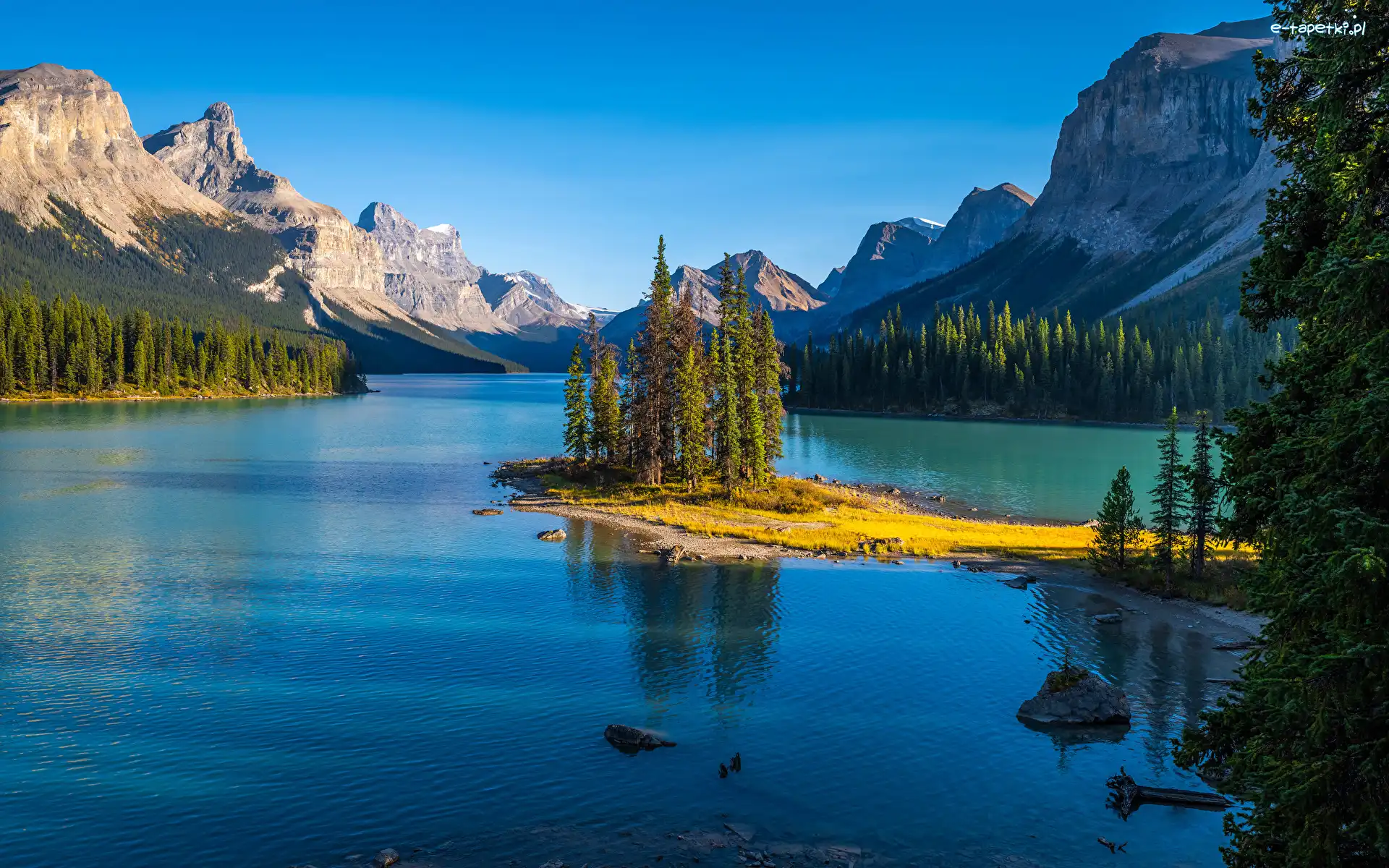 Drzewa, Park Narodowy Jasper, Jezioro Maligne, Alberta, Kanada, Góry, Wyspa Ducha