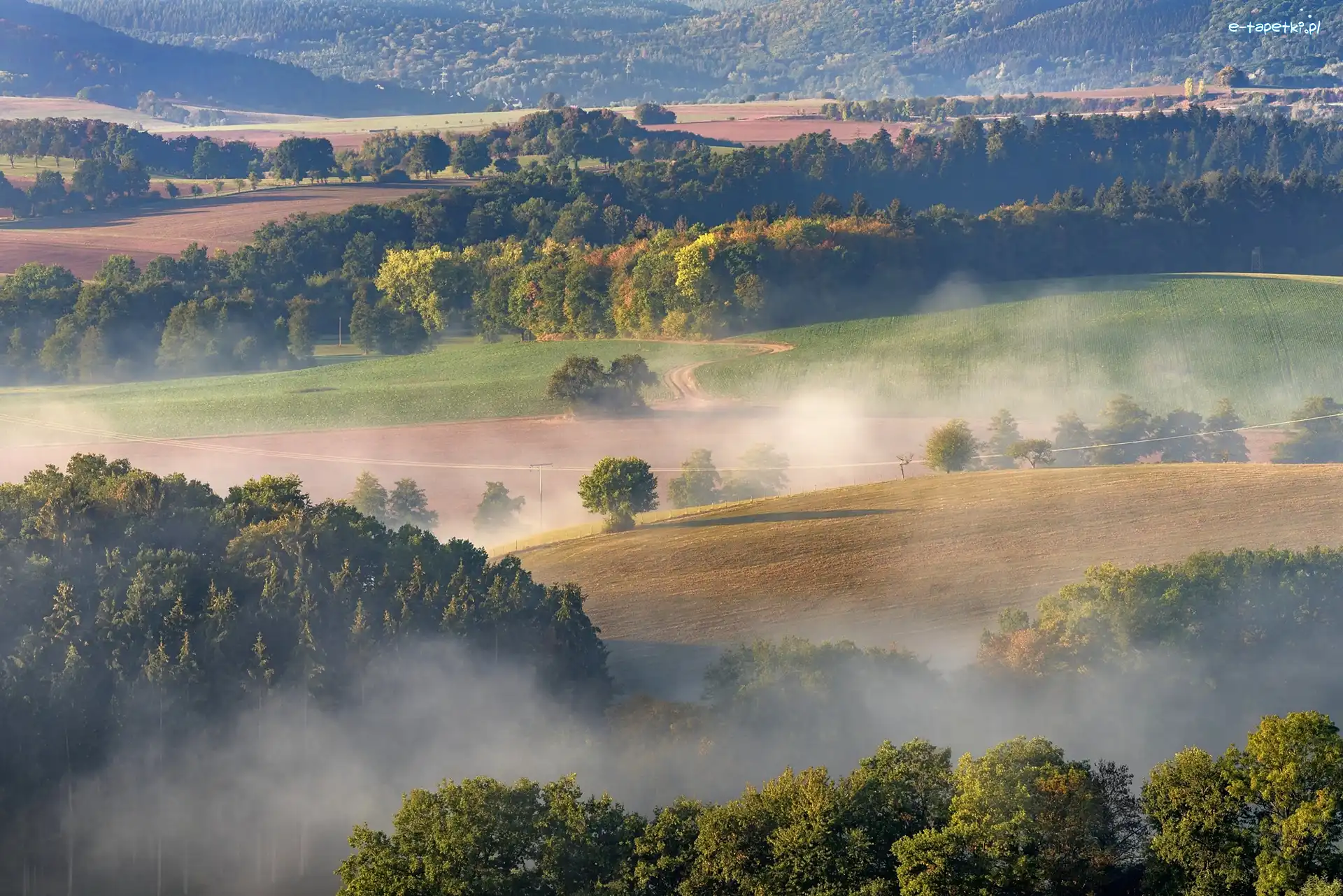 Wzgórza, Mgła, Pola, Drzewa