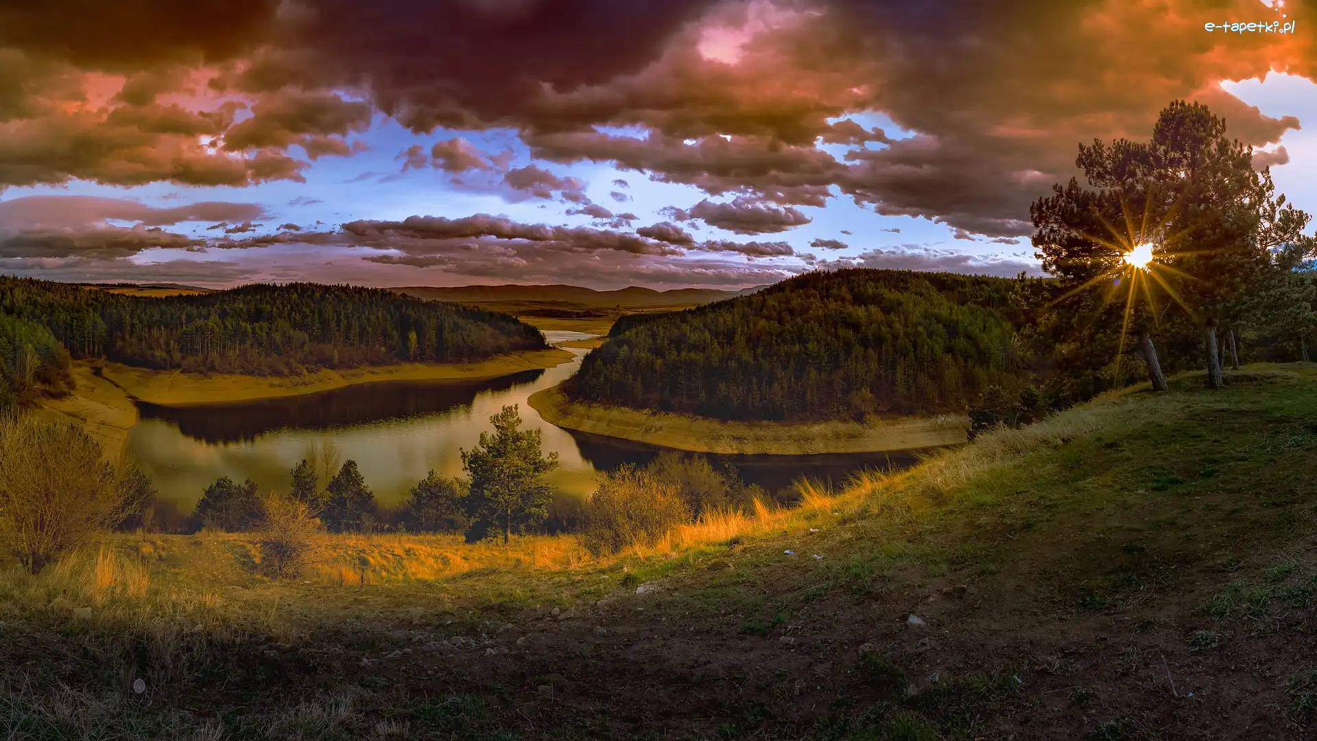 Trawa, Drzewa, Chmury, Wieczór, Jezioro, Promienie słońca, Zachód słońca, Las