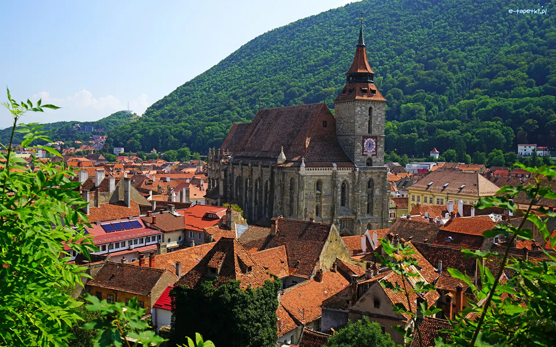Wyżyna Transylwańska, Miasto, Las, Domy, Braszów, Góry, Kościół, Rumunia