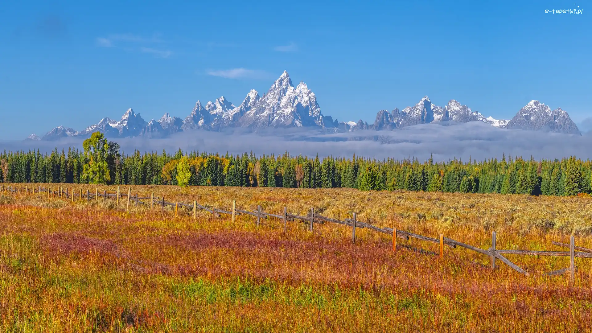 Ogrodzenie, Pole, Góry, Park Narodowy Grand Teton, Jesień, Stany Zjednoczone, Stan Wyoming, Teton Range, Drzewa