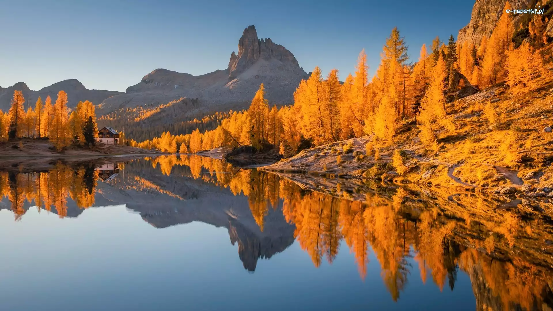 Lago Federa, Jezioro, Góry, Belluno, Włochy, Modrzewie, Drzewa, Dolomity, Jesień