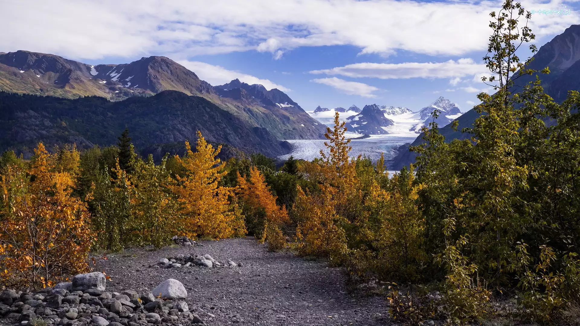 Drzewa, Góry, Stany Zjednoczone, Alaska, Żółte, Kamienie, Droga, Jesień