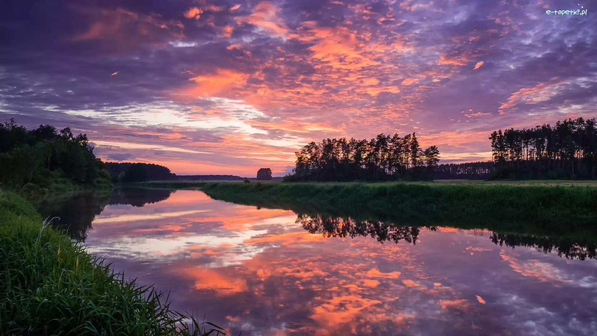 Trawa, Narew, Polska, Drzewa, Niebo, Zachód słońca, Chmury, Rzeka, Kolorowe, Odbicie