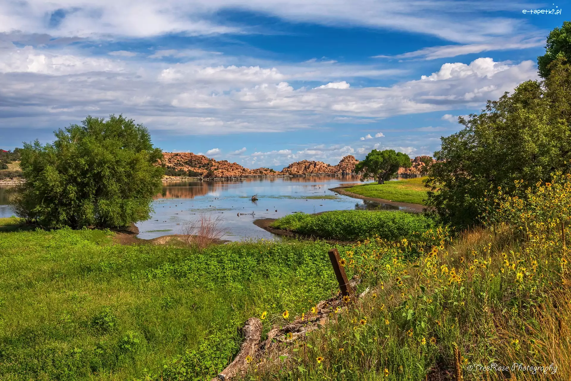 Skały, Watson Lake, Stany Zjednoczone, Arizona, Chmury, Drzewa, Łąka, Jezioro