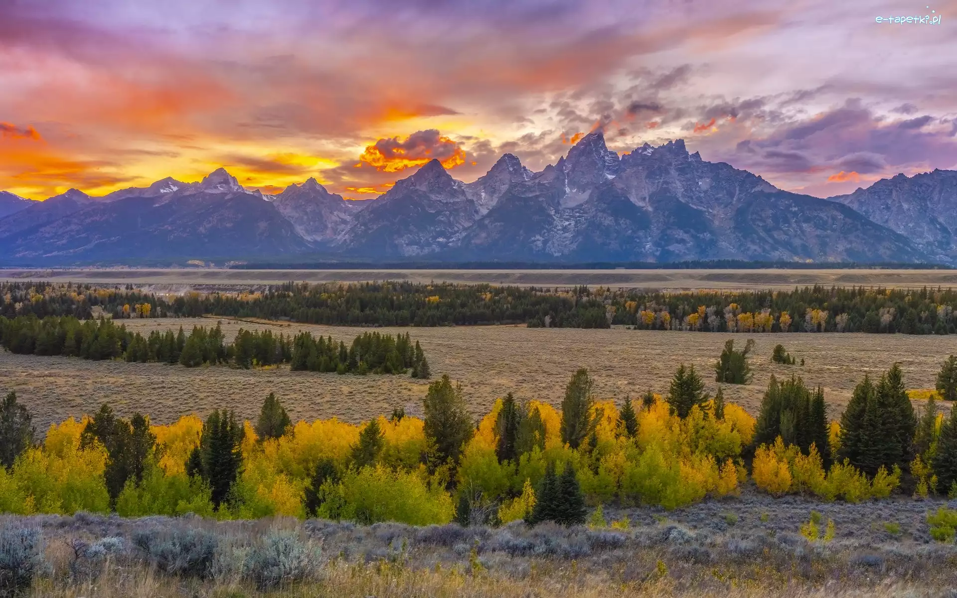 Stany Zjednoczone, Teton Range, Drzewa, Góry, Park Narodowy Grand Teton, Stan Wyoming, Zachód słońca