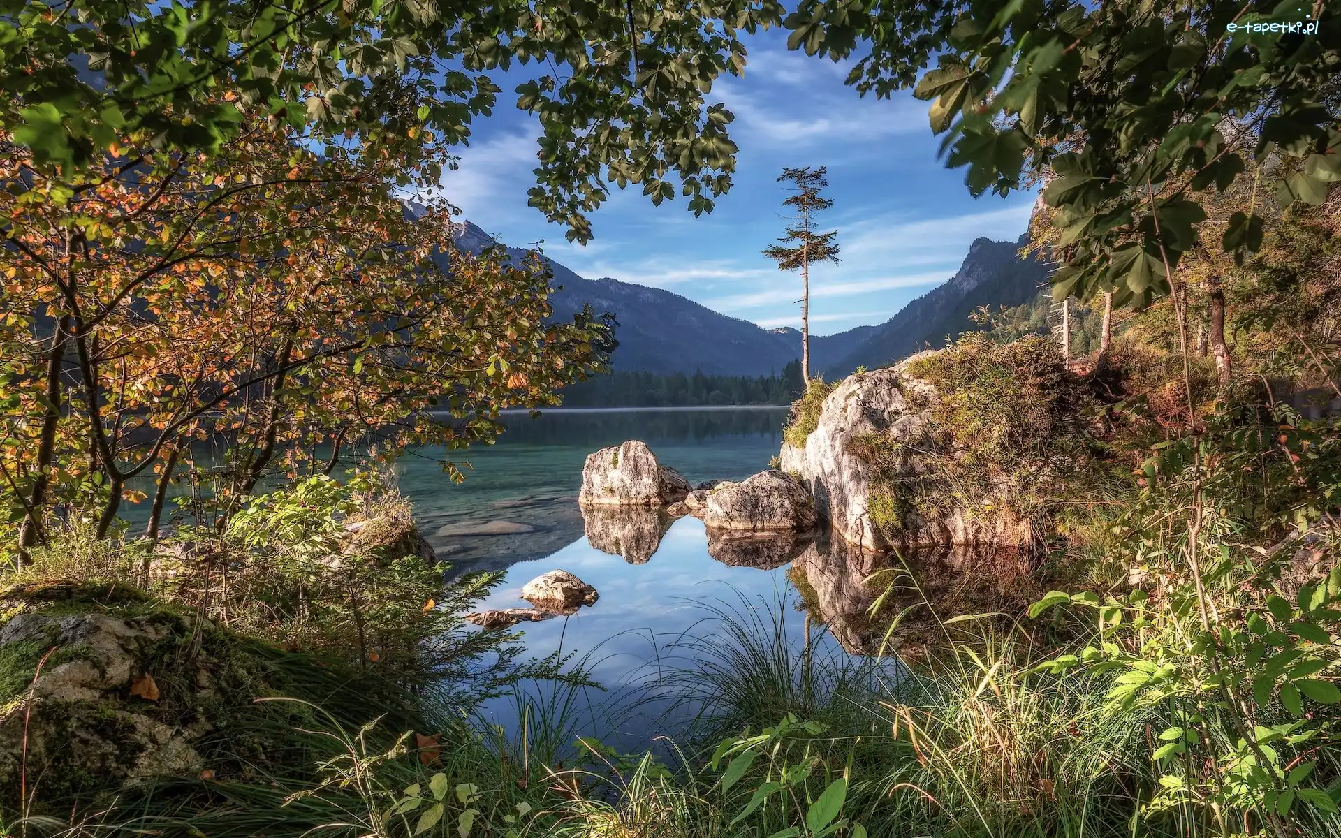 Jezioro, Bawaria, Drzewa, Skały, Ramsau, Hintersee, Góry, Niemcy