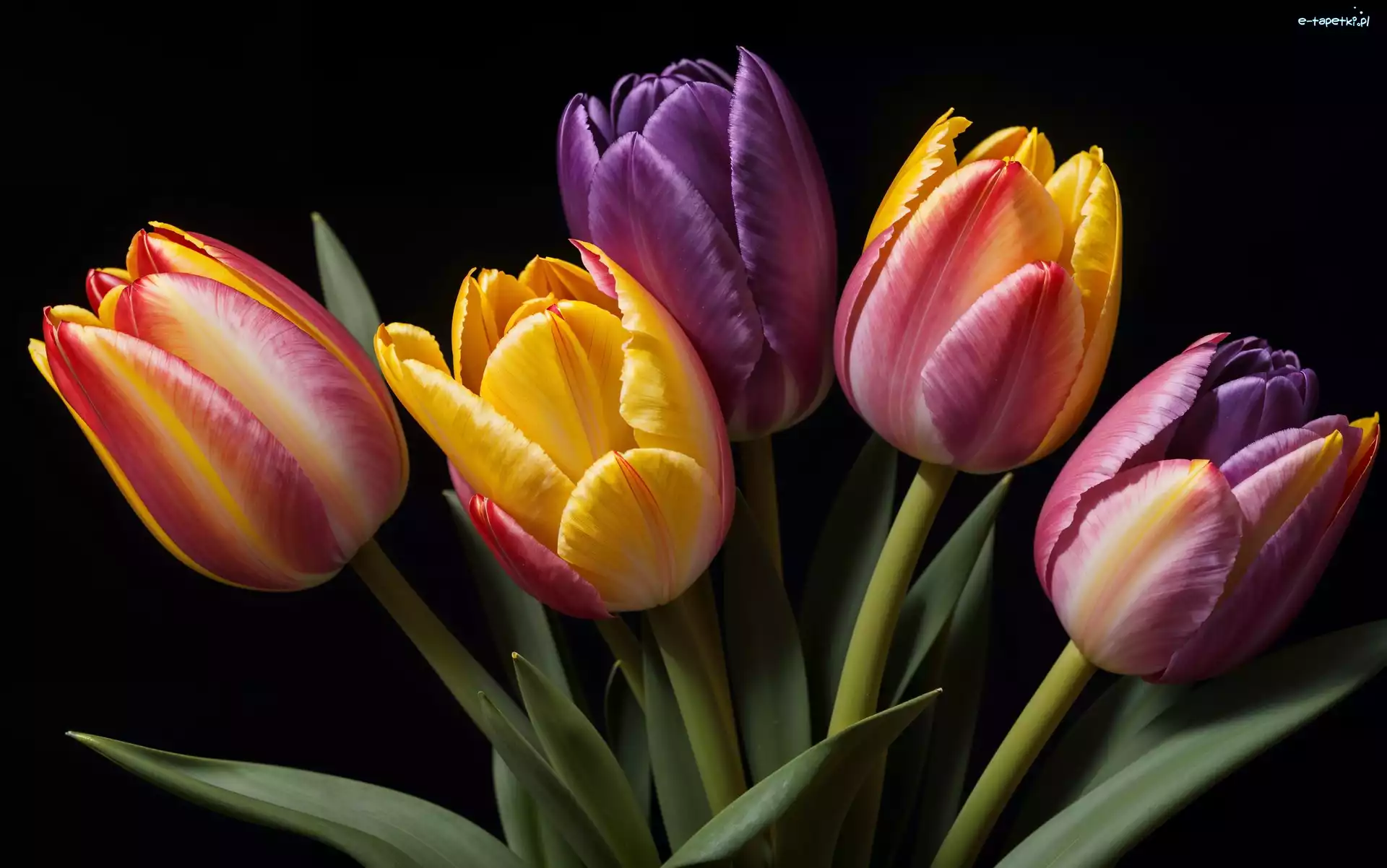 Kolorowe, Bukiet, Liście, Tulipany