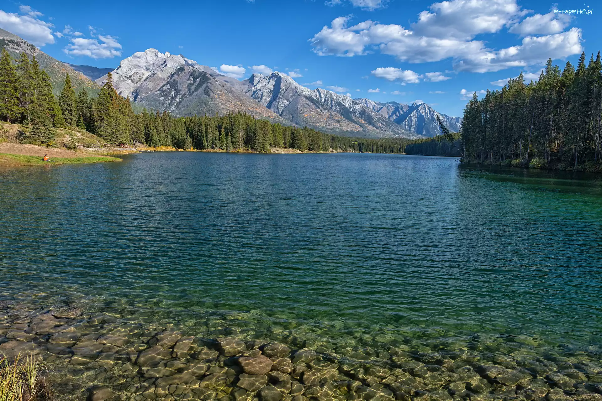 Góry, Las, Kamienie, Johnson Lake, Jezioro, Kanada, Alberta, Drzewa, Fairholme Range