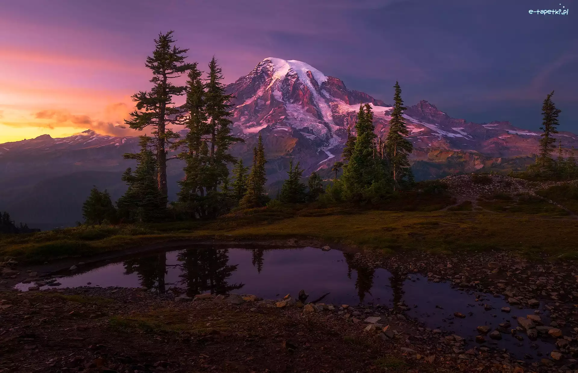 Góry, Niebo, Mount Rainier, Waszyngton, Stany Zjednoczone, Zachód słońca, Kamienie, Las, Drzewa