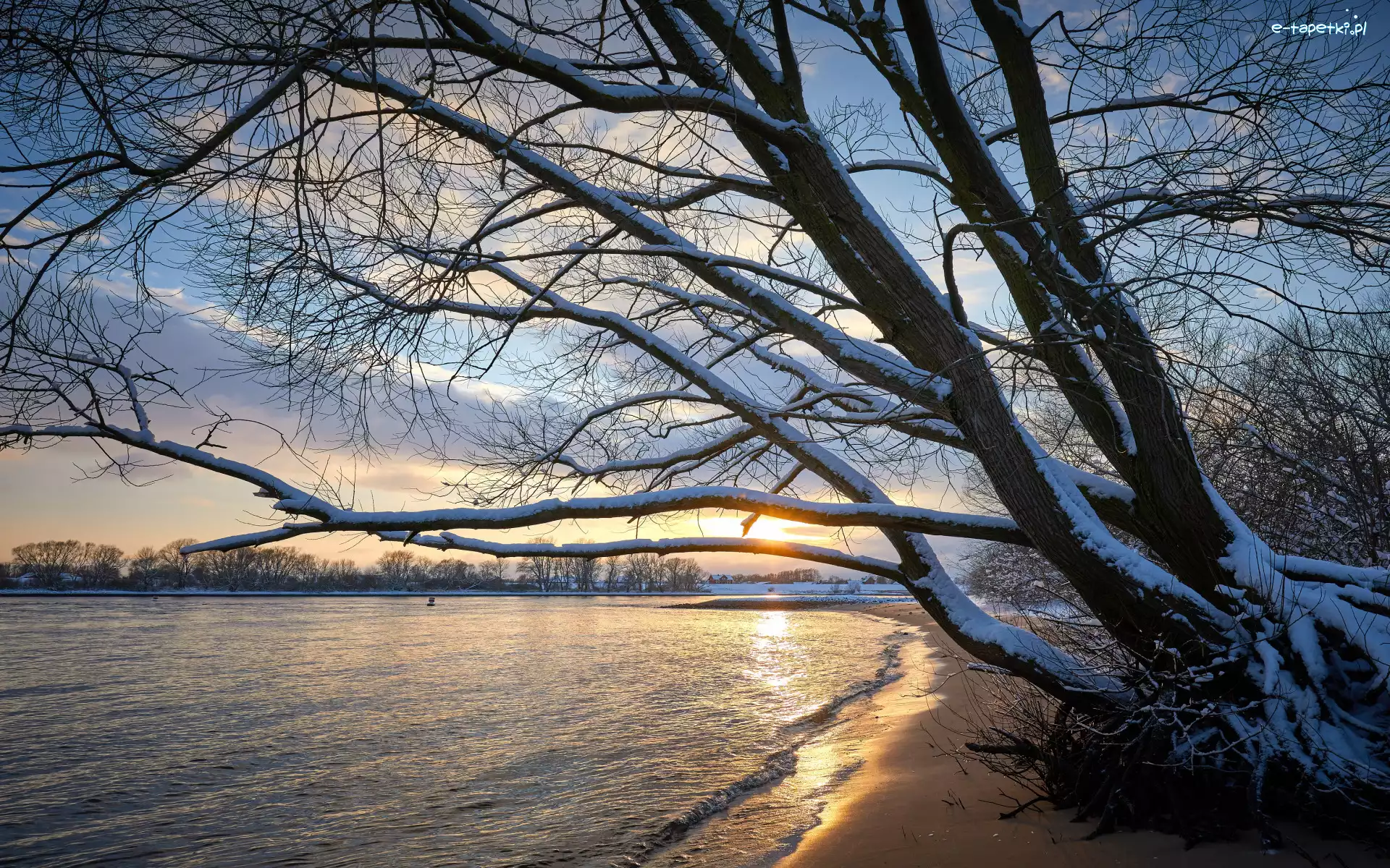 Gałęzie, Staw, Drzewo, Wschód słońca, Śnieg, Zima