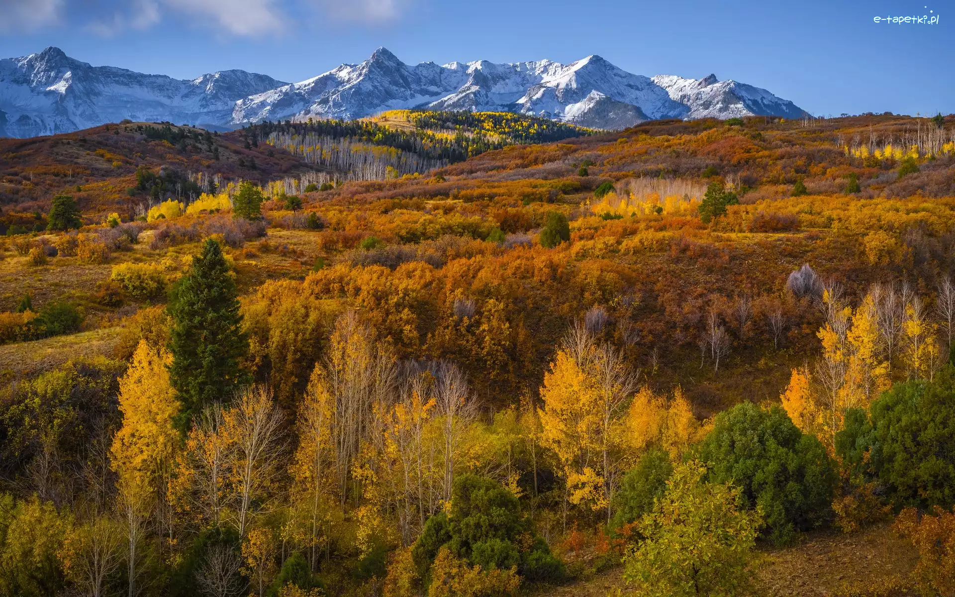 Las, Jesień, Przełęcz, San Juan Mountains, Góry, Stany Zjednoczone, Kolorado, Dallas Divide, Drzewa