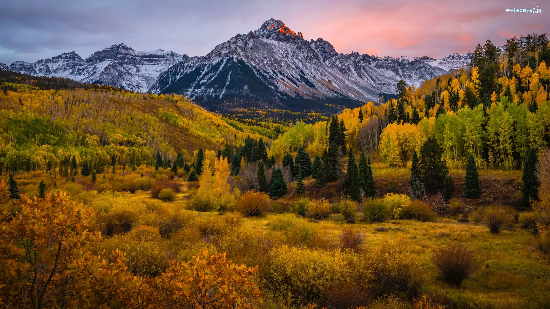 Roślinność, Góra, Mount Sneffels, Kolorado, Stany Zjednoczone, Drzewa, Jesień
