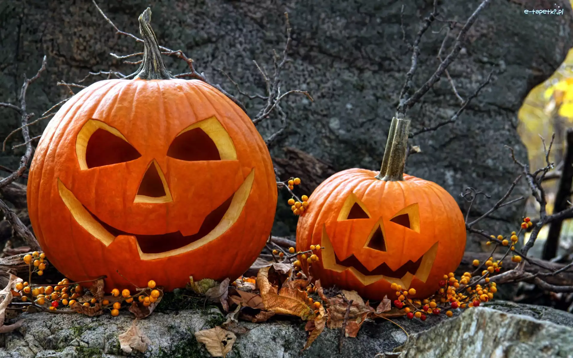 Dynie, Liście, Gałązki, Halloween