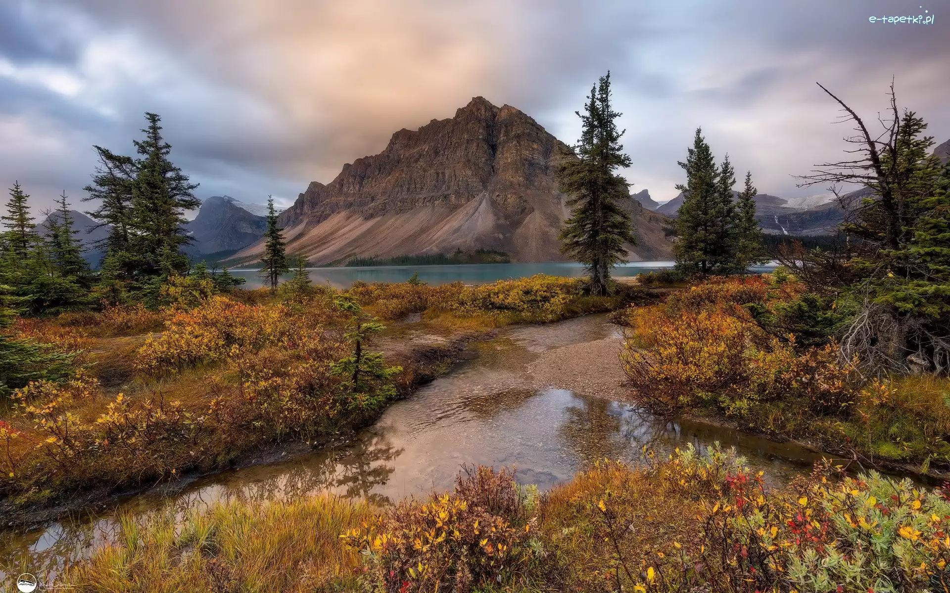 Drzewa, Bow Lake, Crowfoot Mountain, Góra, Góry, Kanada, Park Narodowy Banff, Jezioro, Roślinność