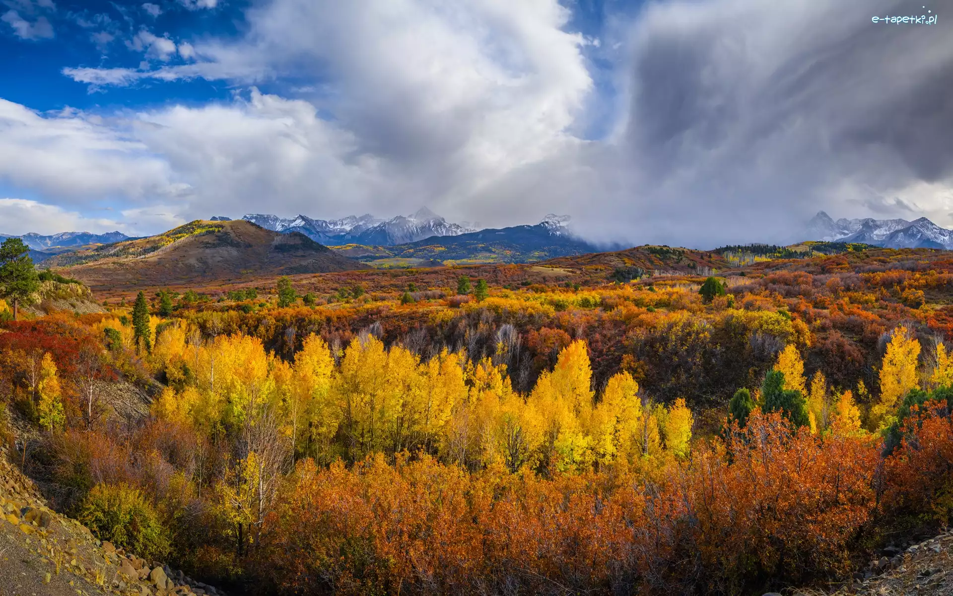 Chmury, San Juan Mountains, Stany Zjednoczone, Drzewa, Dallas Divide, Las, Jesień, Góry, Przełęcz, Kolorado