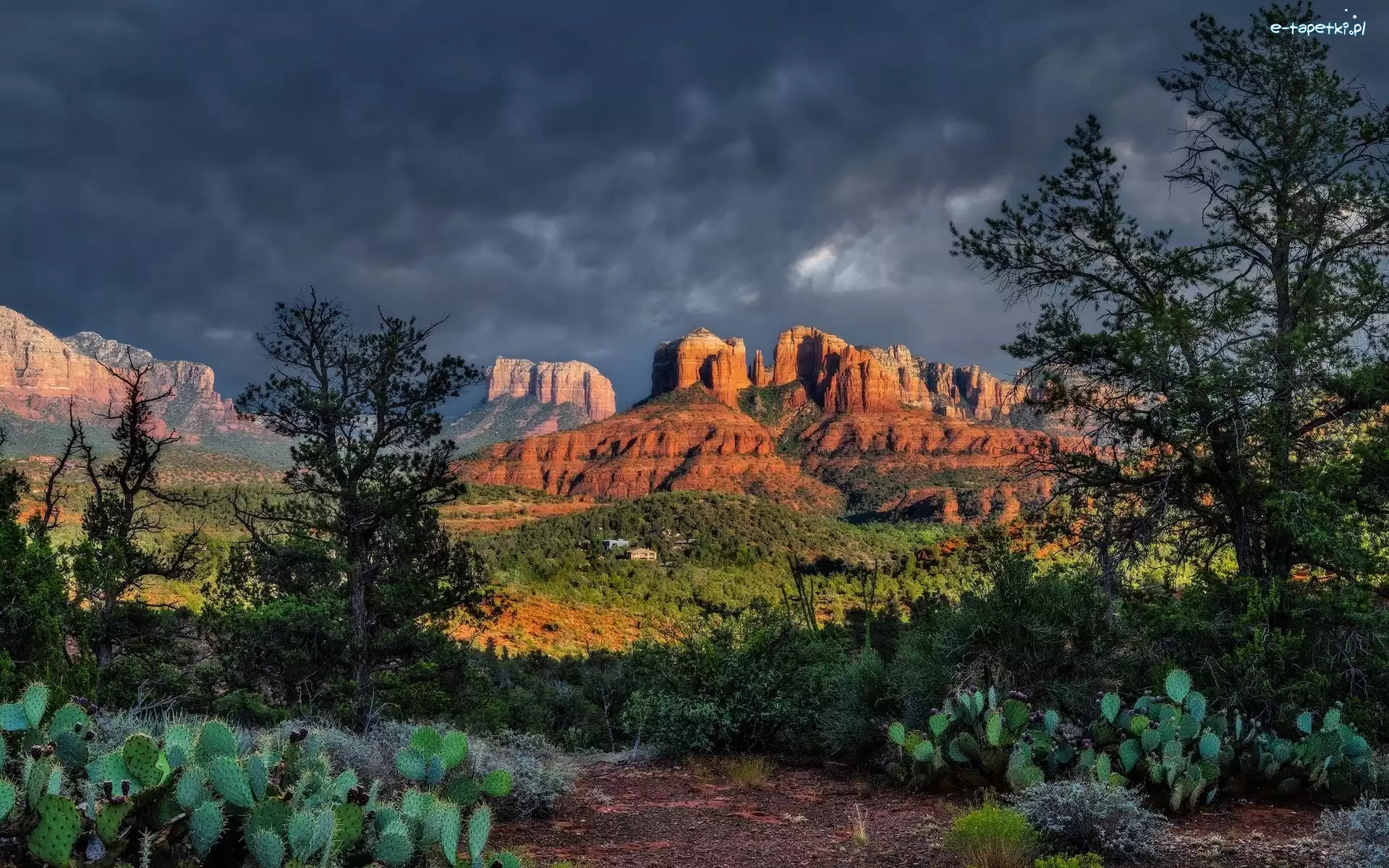 Skały, Arizona, Kaktusy, Chmury, Sedona, Cathedral Rock, Drzewa, Stany Zjednoczone