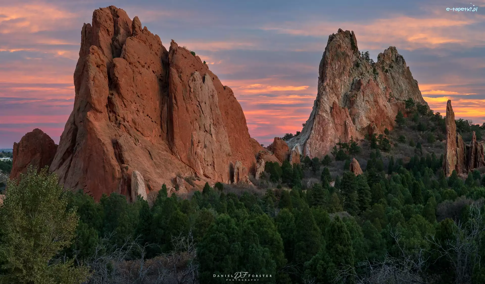 Skały, Garden of the Gods, Góry, Drzewa, Kolorado, Stany Zjednoczone